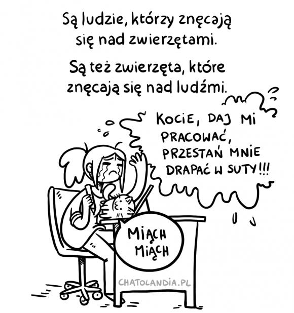 znecanie sie nad zwierzetami2