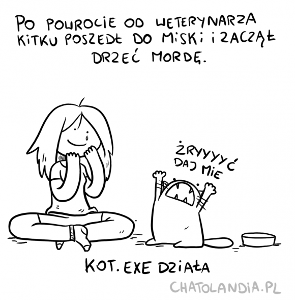 bamdziorka powrot od weta2
