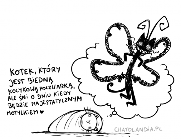 depreskoty motylek