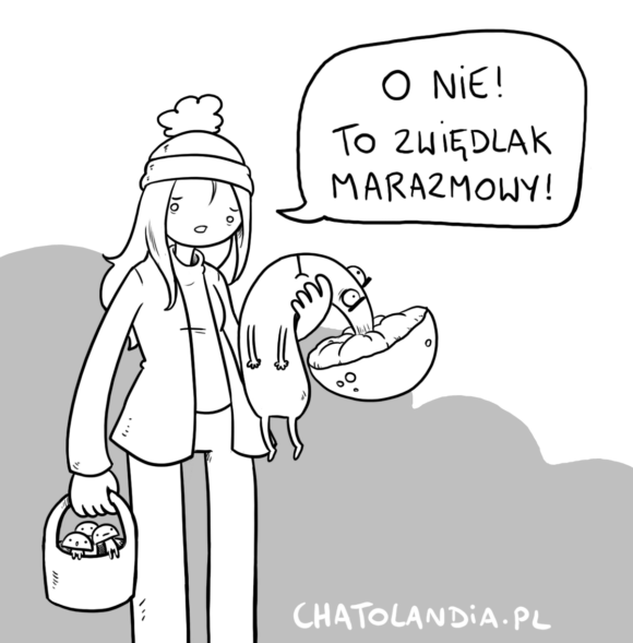 zwiedlak grzyb odcinek